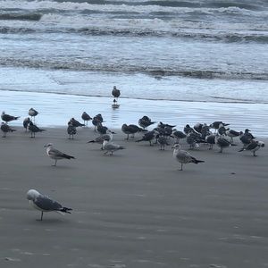 Meet your Posher, Larissa